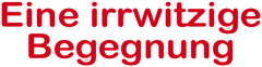 EINE IRRWITZIGE BEGEGNUNG